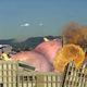 Image for article titled Enjoy "Unnatural Hugeness" with the 20 Craziest Kaiju